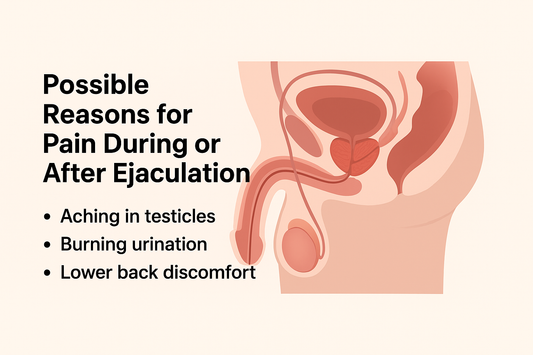 Diagram of male reproductive organs with bullet points on pain after ejaculation causes like testicle ache burning urination