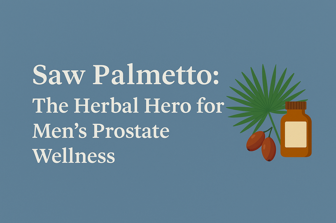 Text about saw palmetto as a herbal hero for men's prostate wellness with an illustration of saw palmetto plant and supplement bottle explaining how does saw palmetto support prostate wellness