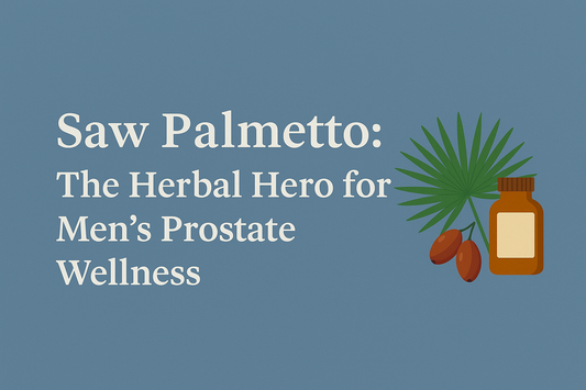 Text about saw palmetto as a herbal hero for men's prostate wellness with an illustration of saw palmetto plant and supplement bottle explaining how does saw palmetto support prostate wellness